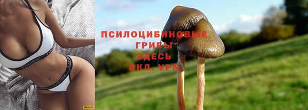 синтетический гашиш Саяногорск