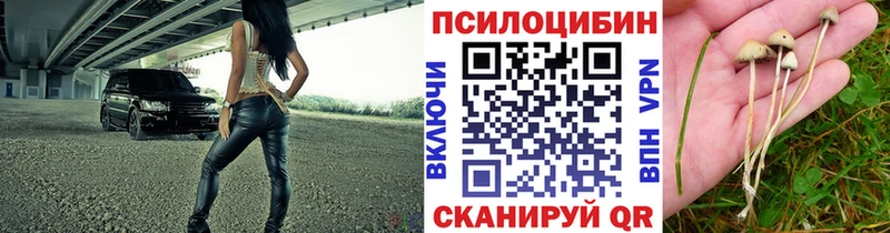 Псилоцибиновые грибы Psilocybe  omg зеркало  Нерюнгри  хочу наркоту 